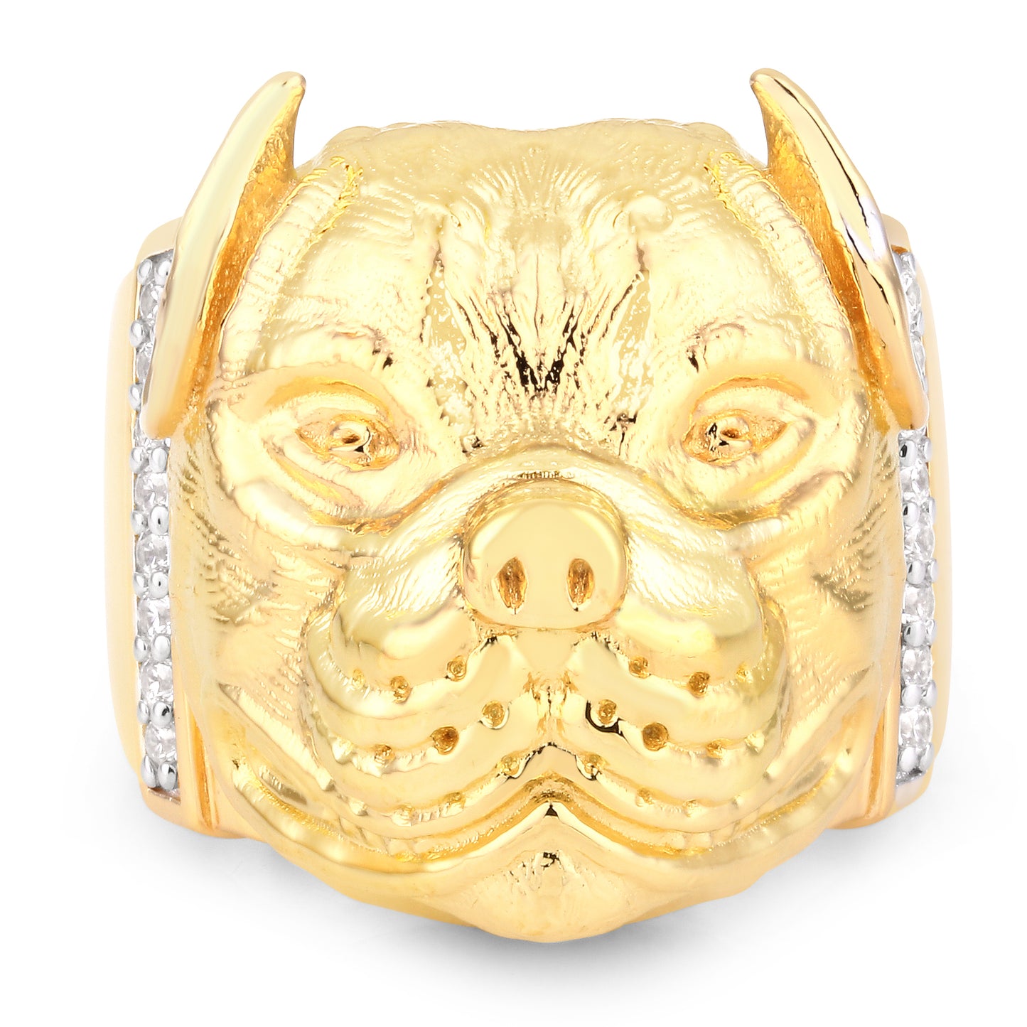 Pitbull Ring