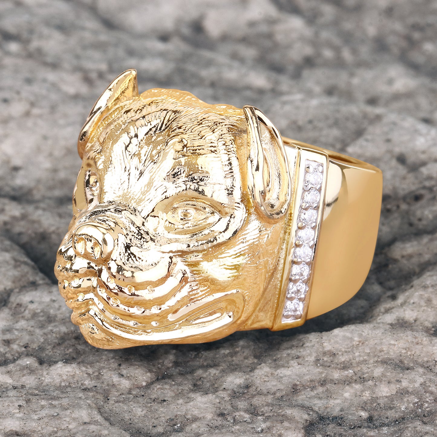 Pitbull Ring