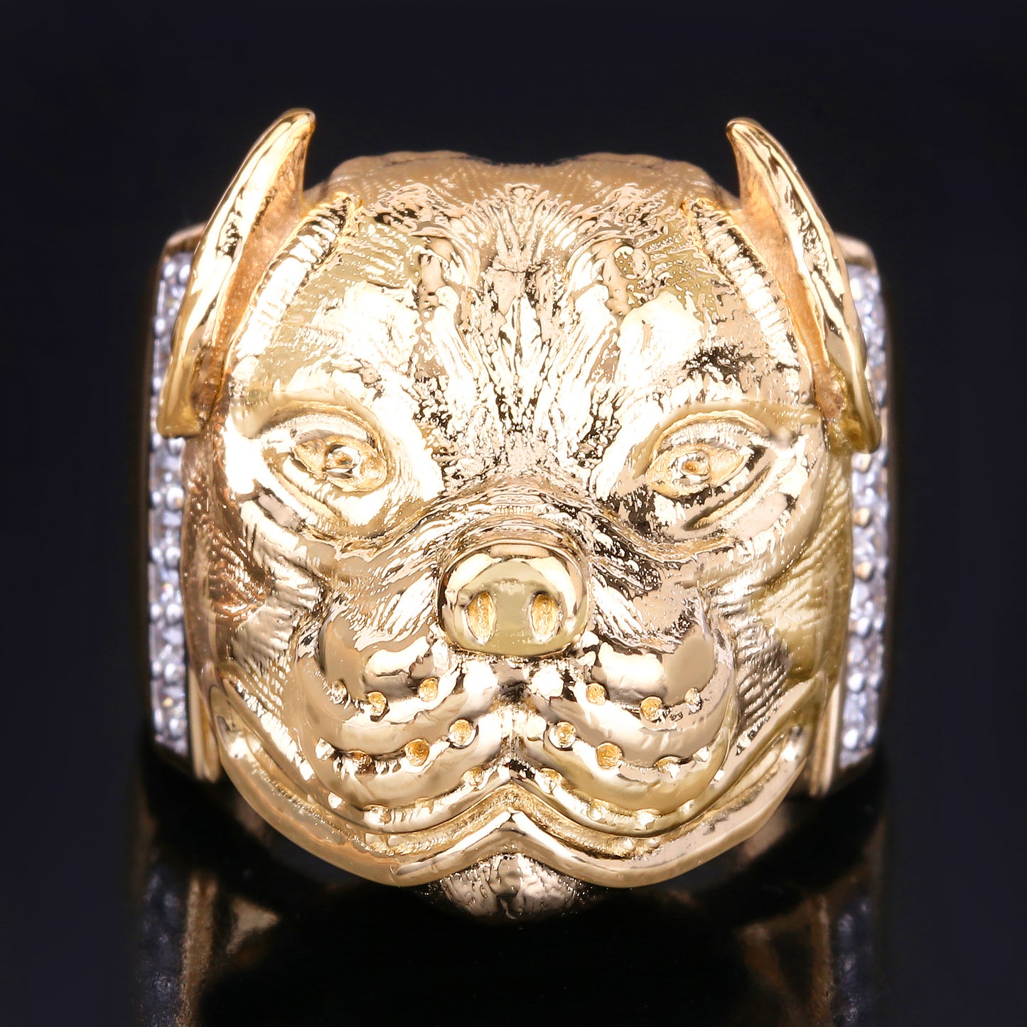 Pitbull Ring